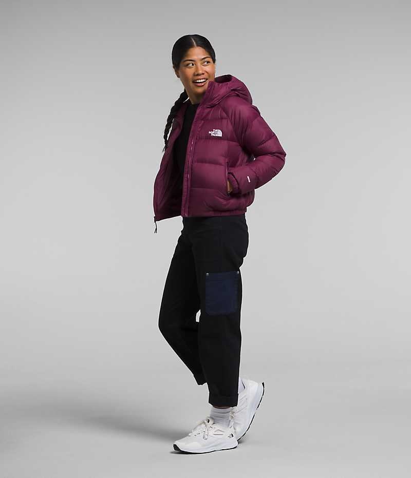 Fuchsia The North Face Hydrenalite™ Women's Puffer Jacket | MALAYSIA IKABRZ