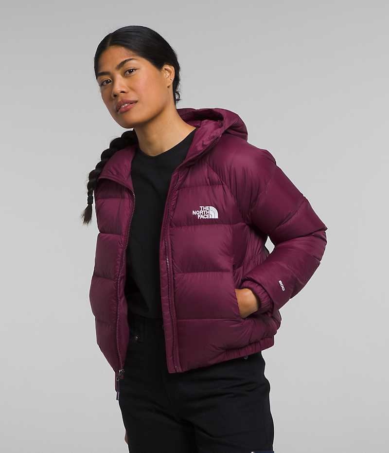 Fuchsia The North Face Hydrenalite™ Women\'s Puffer Jacket | MALAYSIA IKABRZ