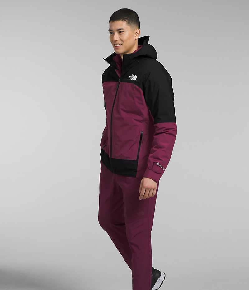 Fuchsia The North Face Mountain Light Triclimate® GTX Men's Hooded Jacket | MALAYSIA AVGXWY