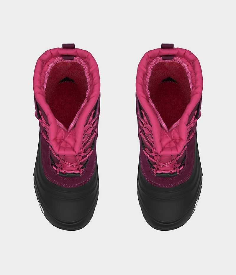 Fuchsia / Black The North Face Alpenglow V Waterproof Boys' Winter Boots | MALAYSIA LKISND