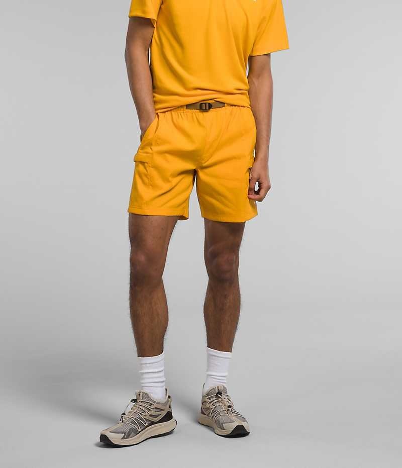 Gold The North Face Class V Belted Men\'s Shorts | MALAYSIA LFOAZY