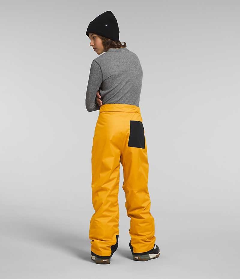 Gold The North Face Freedom Boys' Insulated Pants | MALAYSIA TYVHNA