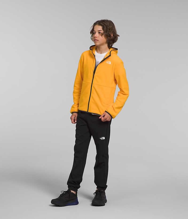 Gold The North Face Glacier Full-Zip Hooded Boys' Fleece Jacket | MALAYSIA SJXVKE