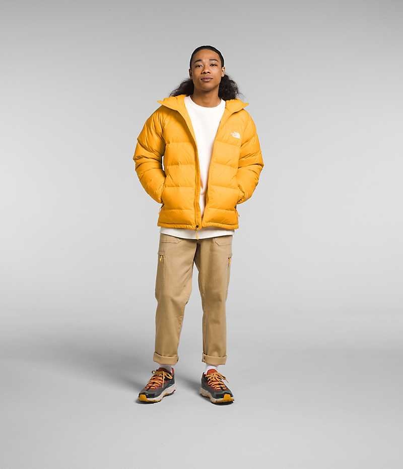 Gold The North Face Hydrenalite™ Hoodie Men's Puffer Jacket | MALAYSIA OHZNBV