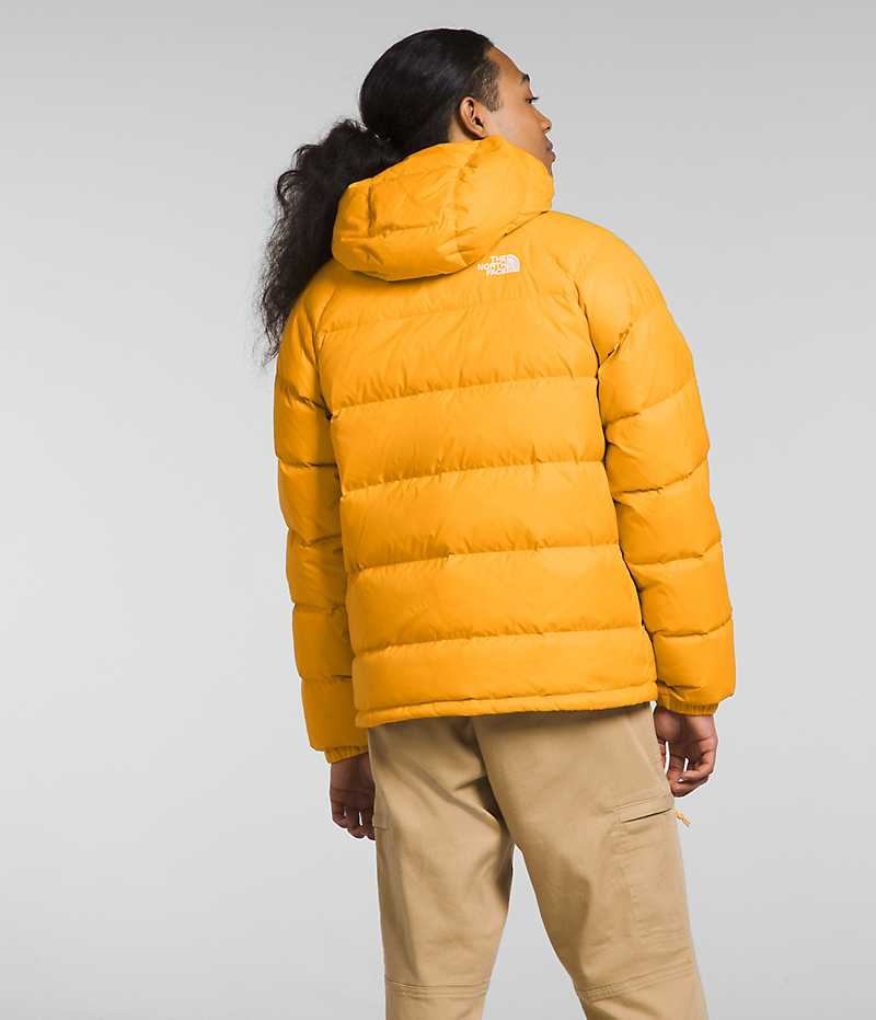 Gold The North Face Hydrenalite™ Hoodie Men's Puffer Jacket | MALAYSIA OHZNBV