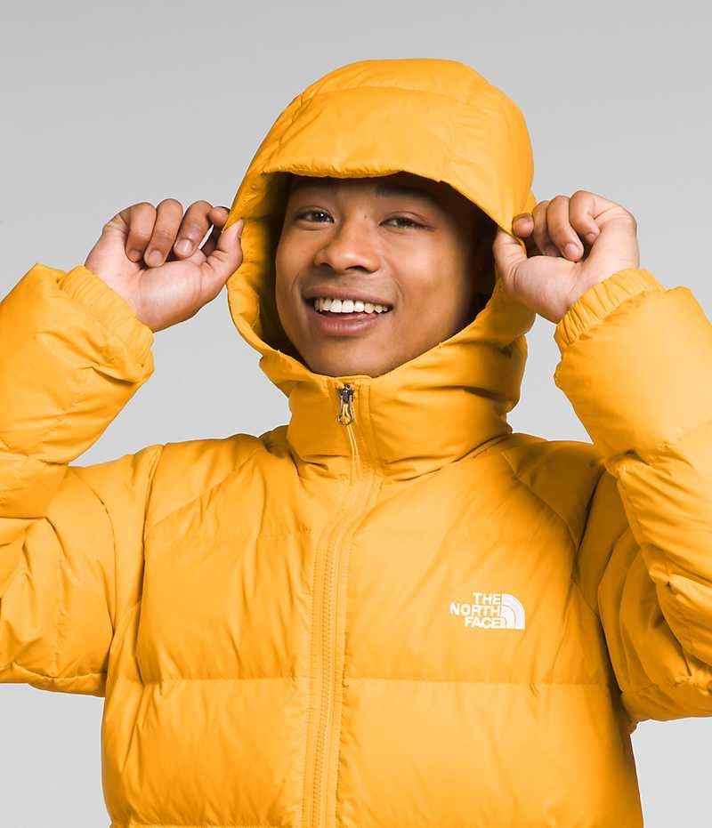 Gold The North Face Hydrenalite™ Hoodie Men's Puffer Jacket | MALAYSIA OHZNBV