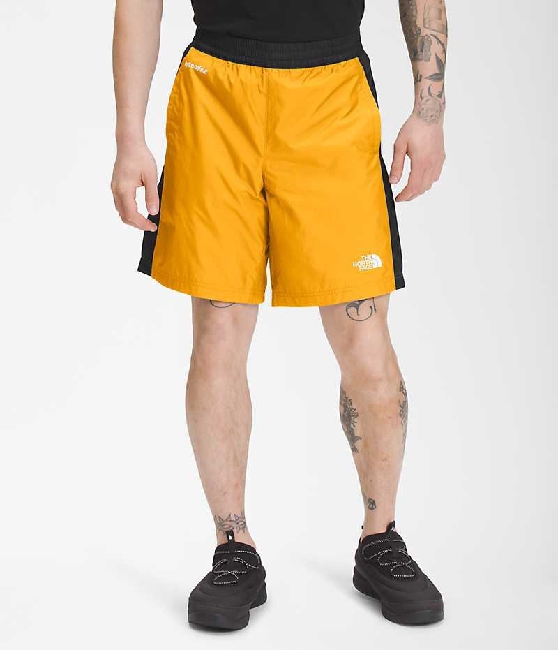 Gold / Black The North Face Hydrenaline 2000 Men\'s Shorts | MALAYSIA FWPGHI