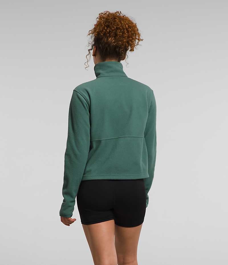 Green The North Face Alpine Polartec® 100 ¼-Zip Cowl Women's Sweatshirt | MALAYSIA PFKMWC