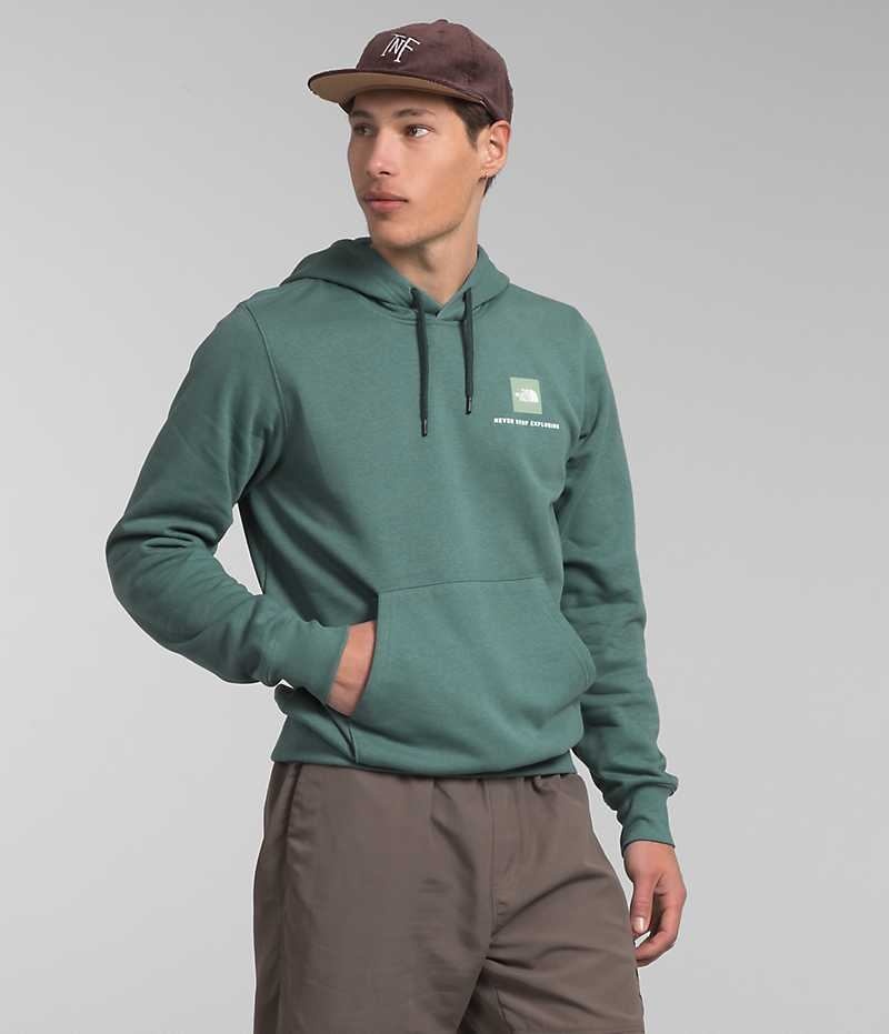 Green The North Face Box NSE Pullover Men\'s Hoodie | MALAYSIA ZWOHXC