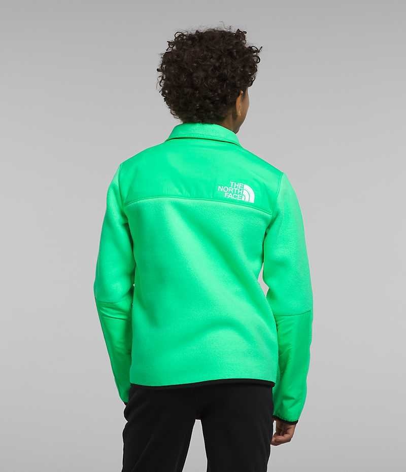 Green The North Face Denali Boys' Fleece Jacket | MALAYSIA MTBKLN