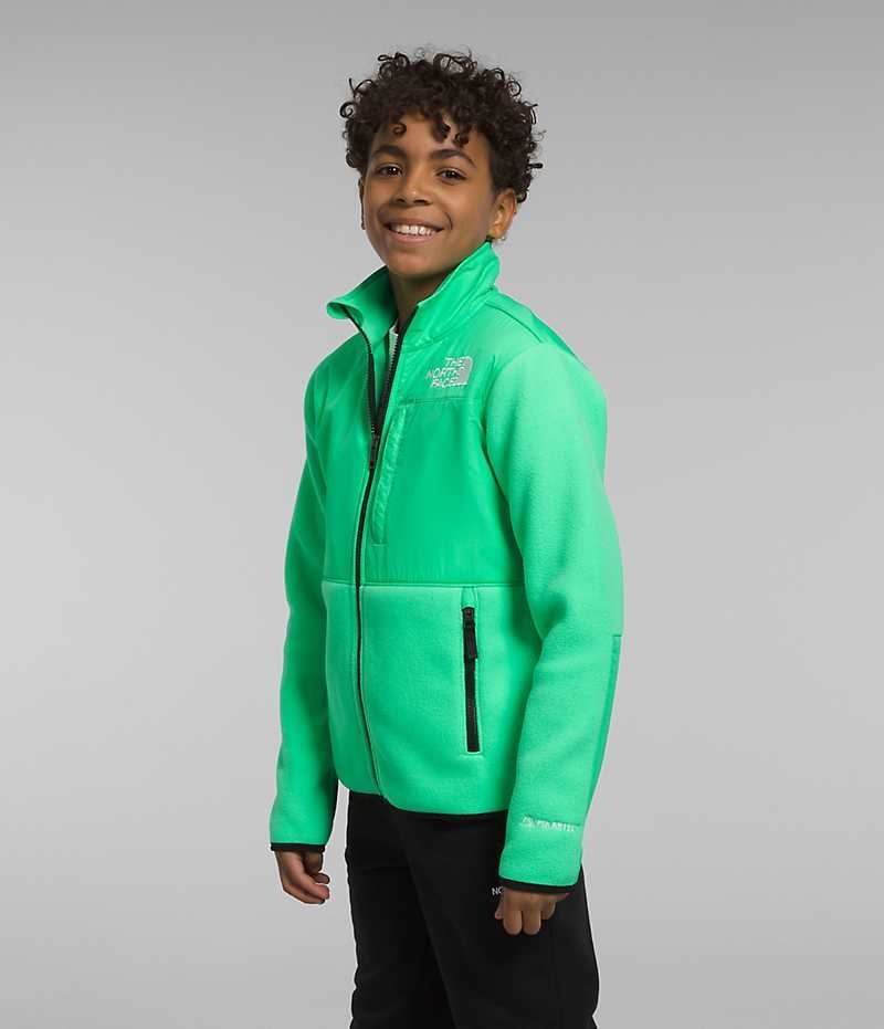 Green The North Face Denali Boys' Fleece Jacket | MALAYSIA MTBKLN