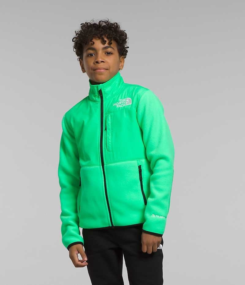 Green The North Face Denali Boys\' Fleece Jacket | MALAYSIA MTBKLN