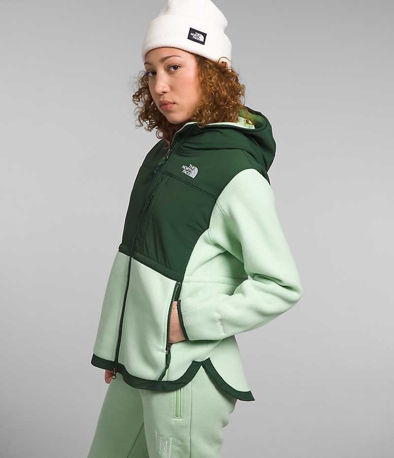 Green The North Face Denali Hoodie Women's Fleece Jacket | MALAYSIA CXKPYQ