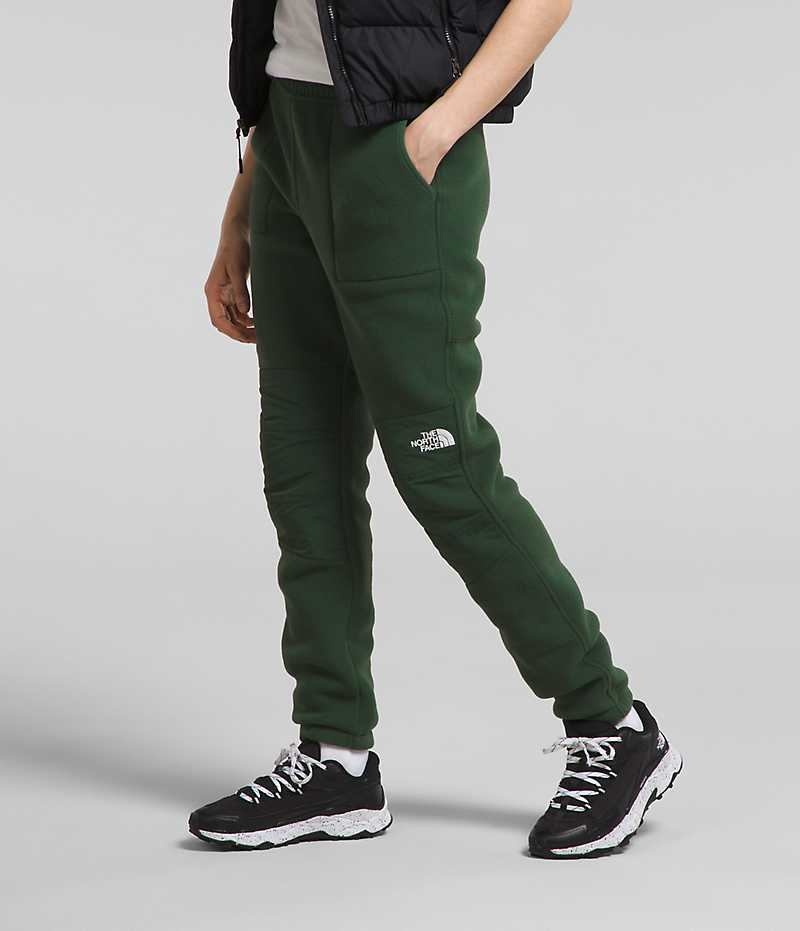 Green The North Face Denali Women's Pants | MALAYSIA AVHYWD