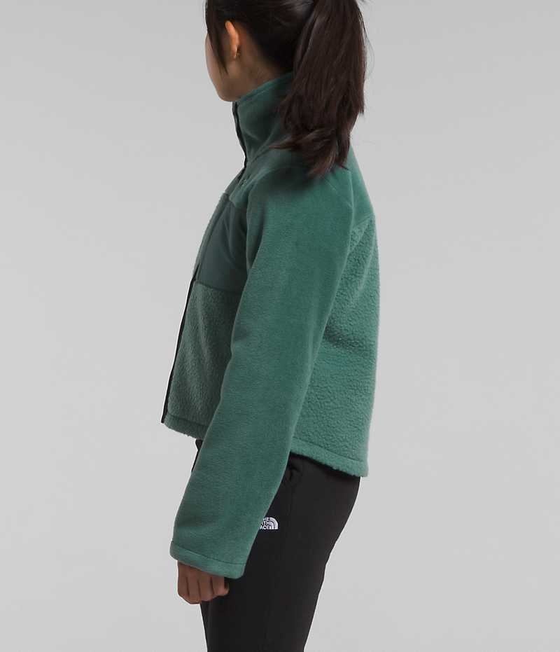 Green The North Face Fleece Mashup Girls' Fleece Jacket | MALAYSIA BRYVML