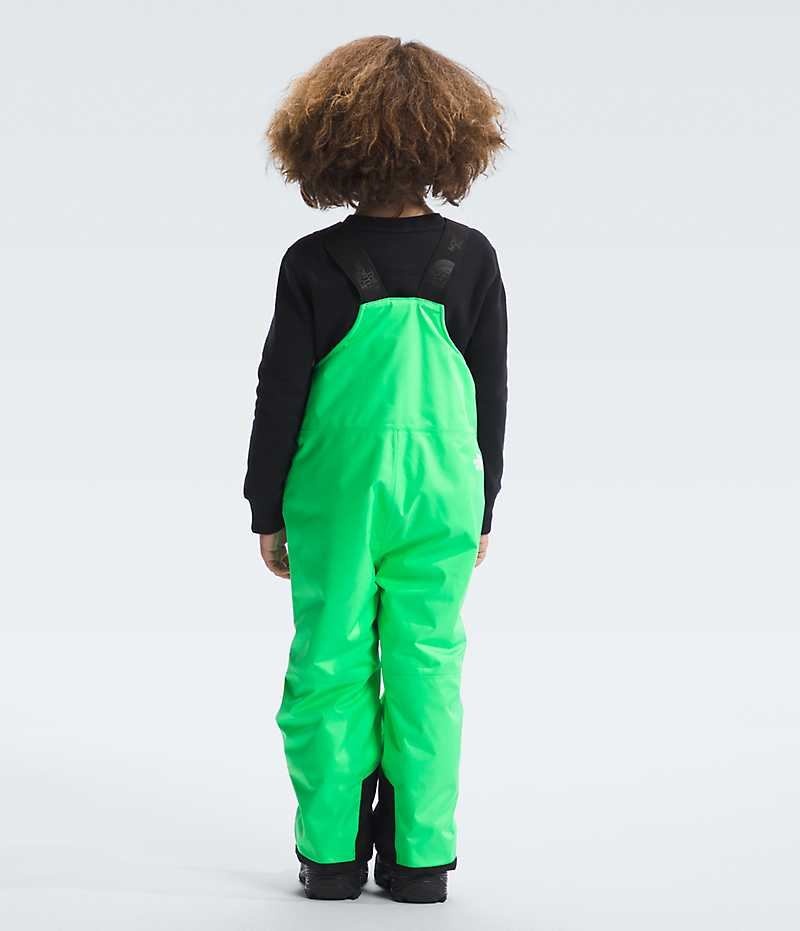 Green The North Face Freedom Insulated Boys' Bib Pants | MALAYSIA OAMNCI