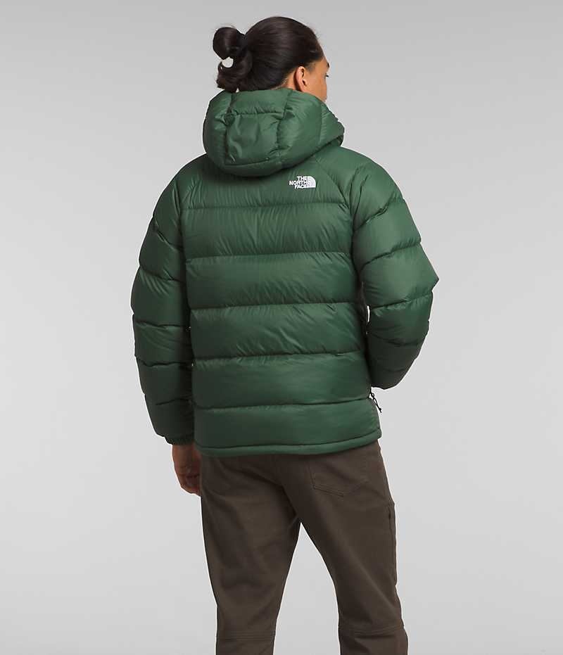 Green The North Face Hydrenalite™ Hoodie Men's Puffer Jacket | MALAYSIA QVMIEW