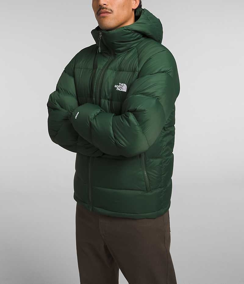 Green The North Face Hydrenalite™ Hoodie Men's Puffer Jacket | MALAYSIA QVMIEW