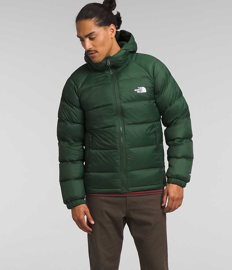 Green The North Face Hydrenalite™ Hoodie Men\'s Puffer Jacket | MALAYSIA QVMIEW