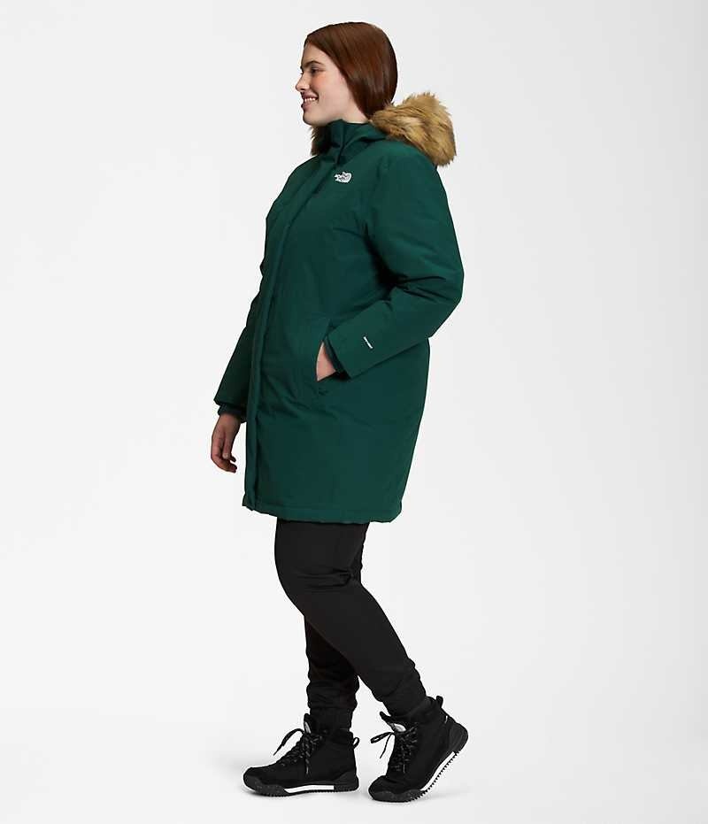 Green The North Face Plus Arctic Women's Coat | MALAYSIA JXAFDG