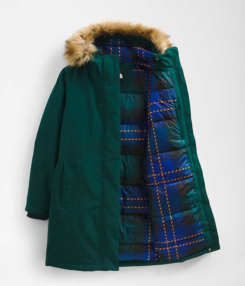 Green The North Face Plus Arctic Women's Coat | MALAYSIA JXAFDG