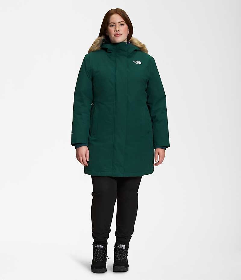 Green The North Face Plus Arctic Women\'s Coat | MALAYSIA JXAFDG