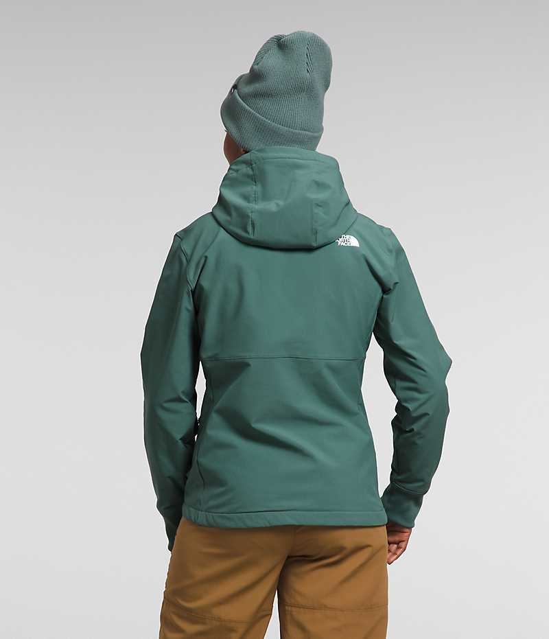 Green The North Face Shelbe Raschel Hoodie Women's Softshell Jacket | MALAYSIA YBLRAS