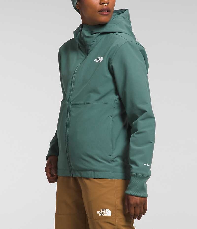 Green The North Face Shelbe Raschel Hoodie Women's Softshell Jacket | MALAYSIA YBLRAS