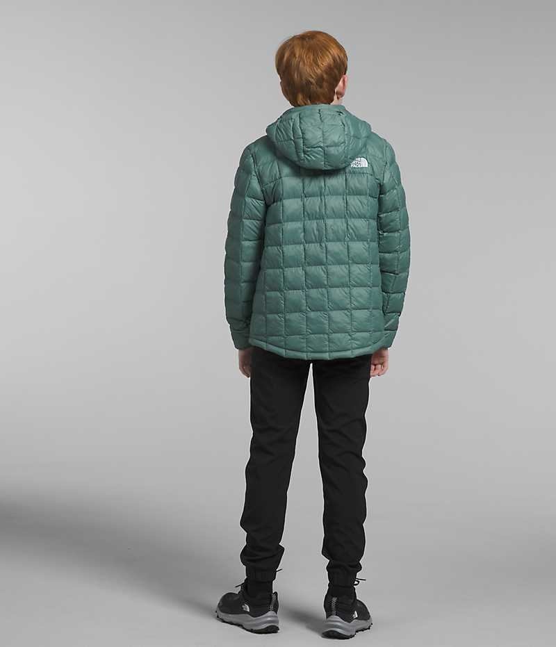 Green The North Face ThermoBall™ Hooded Boys' Puffer Jacket | MALAYSIA VFTGLZ