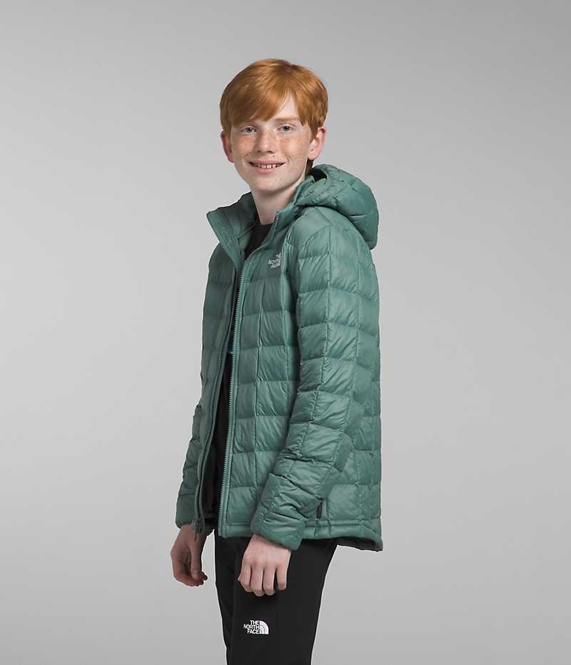 Green The North Face ThermoBall™ Hooded Boys' Puffer Jacket | MALAYSIA VFTGLZ