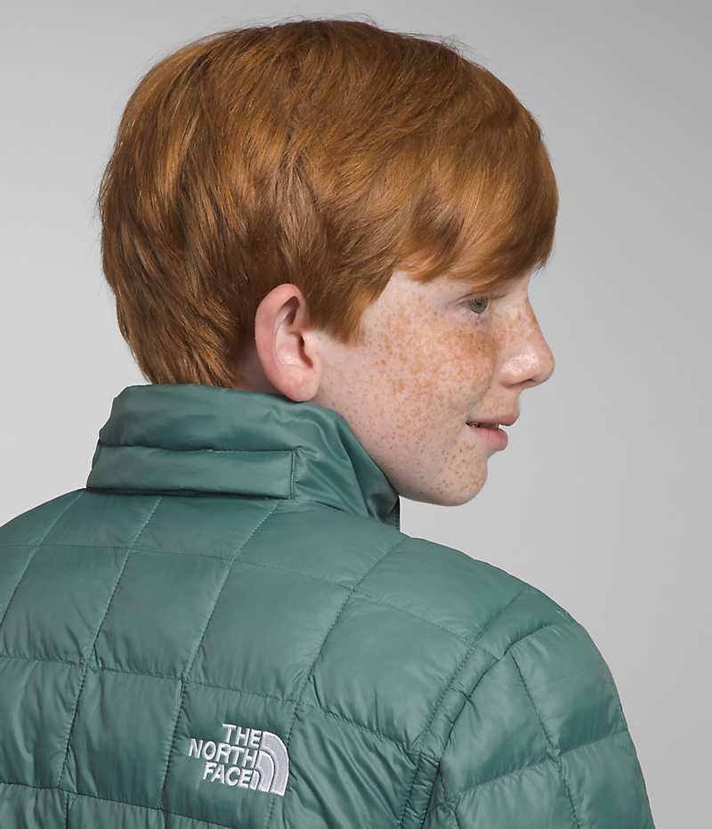 Green The North Face ThermoBall™ Hooded Boys' Puffer Jacket | MALAYSIA VFTGLZ