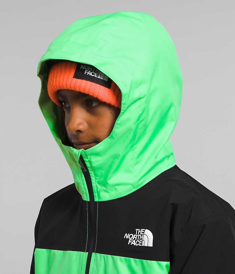 Green / Black The North Face Freedom Triclimate® Boys' Insulated Jacket | MALAYSIA BWRLMI