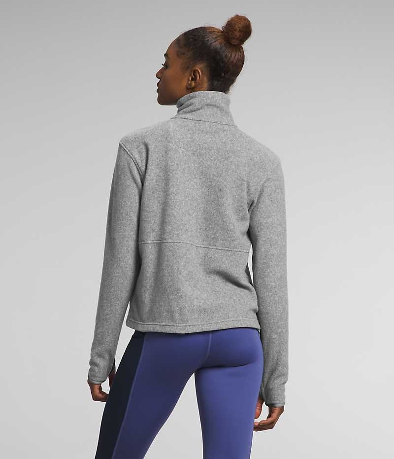 Grey The North Face Alpine Polartec® 100 ¼-Zip Cowl Women's Sweatshirt | MALAYSIA VBITNM