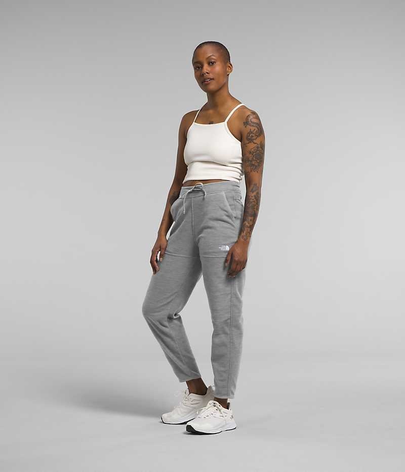 Grey The North Face Alpine Polartec® 100 Women's Fleece Pants | MALAYSIA FZLPYU