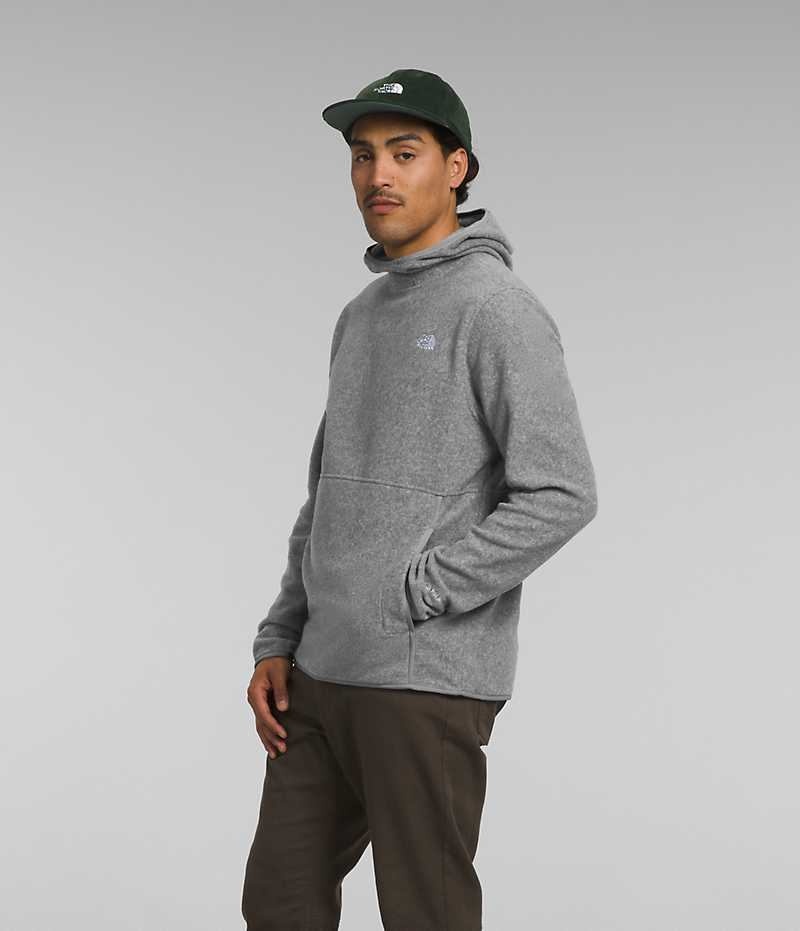 Grey The North Face Alpine Polartec® 100 Men's Pullover | MALAYSIA PYFMTI