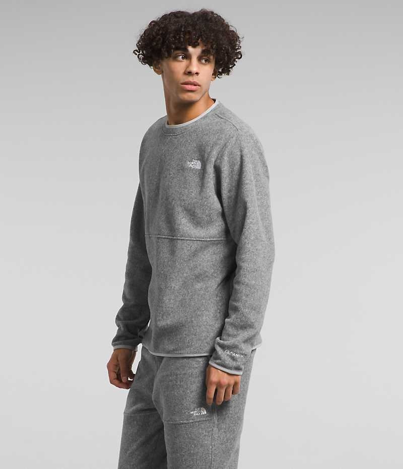 Grey The North Face Alpine Polartec® 100 Crew Men's Pullover | MALAYSIA UWDHKP