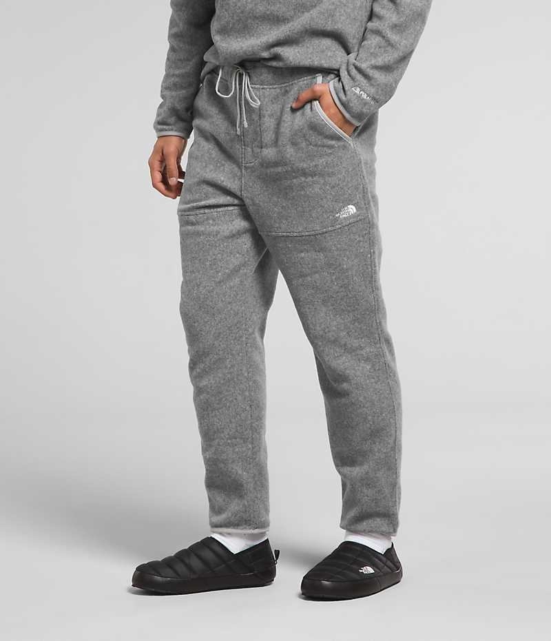 Grey The North Face Alpine Polartec® 100 Men's Fleece Pants | MALAYSIA GKUAEZ