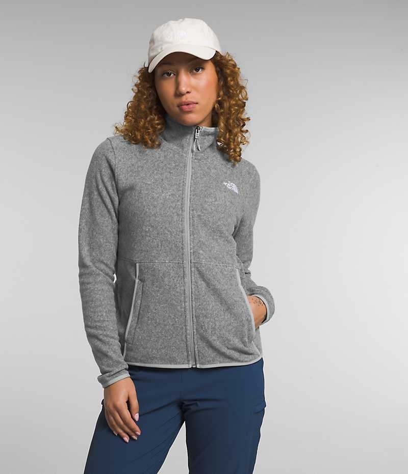 Grey The North Face Alpine Polartec® 100 Women's Fleece Jacket | MALAYSIA EQUJVF