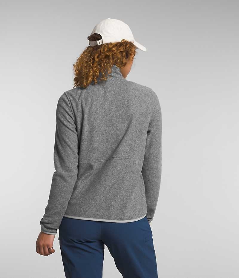 Grey The North Face Alpine Polartec® 100 Women's Fleece Jacket | MALAYSIA EQUJVF