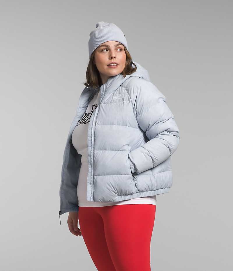 Grey The North Face Plus Hydrenalite™ Hoodie Women's Puffer Jacket | MALAYSIA DCJZNG