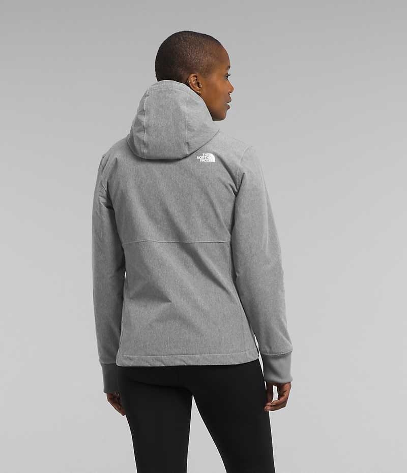 Grey The North Face Shelbe Raschel Hoodie Women's Softshell Jacket | MALAYSIA AMBHPW