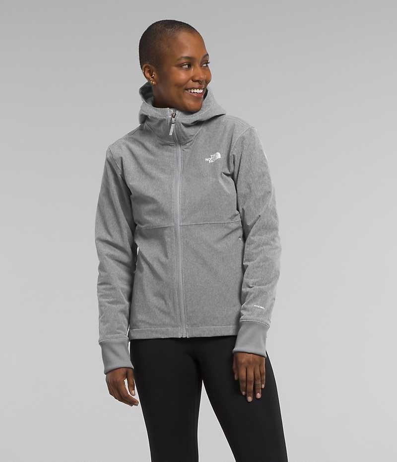 Grey The North Face Shelbe Raschel Hoodie Women\'s Softshell Jacket | MALAYSIA AMBHPW