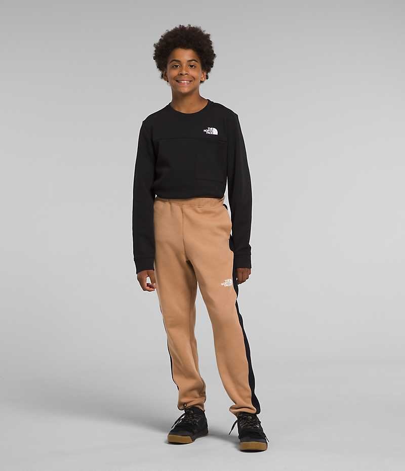 Khaki The North Face TNF™ Tech Boys\' Jogger | MALAYSIA XPURHB