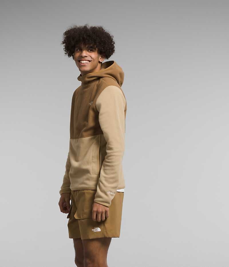 Khaki / Brown The North Face Alpine Polartec® 100 Men's Pullover | MALAYSIA WHUJVK