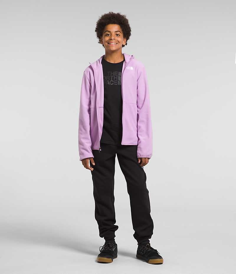 Lavender The North Face Glacier Full-Zip Hooded Boys\' Fleece Jacket | MALAYSIA SKDGEN