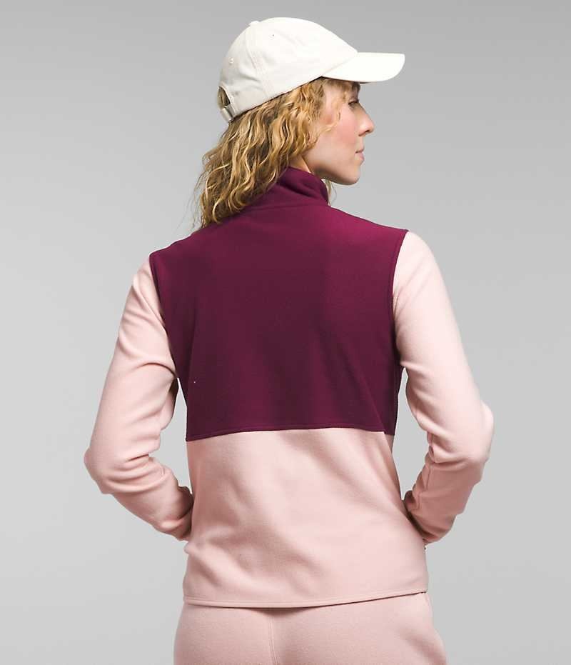 Pink The North Face Alpine Polartec® 100 Women's Fleece Jacket | MALAYSIA FWRTXA