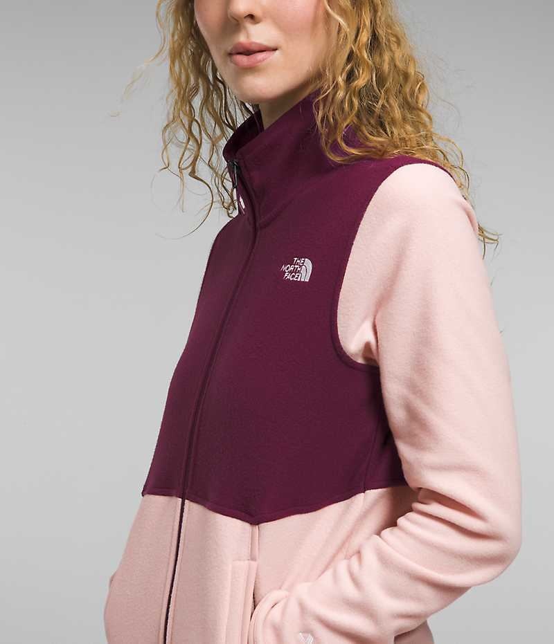 Pink The North Face Alpine Polartec® 100 Women's Fleece Jacket | MALAYSIA FWRTXA