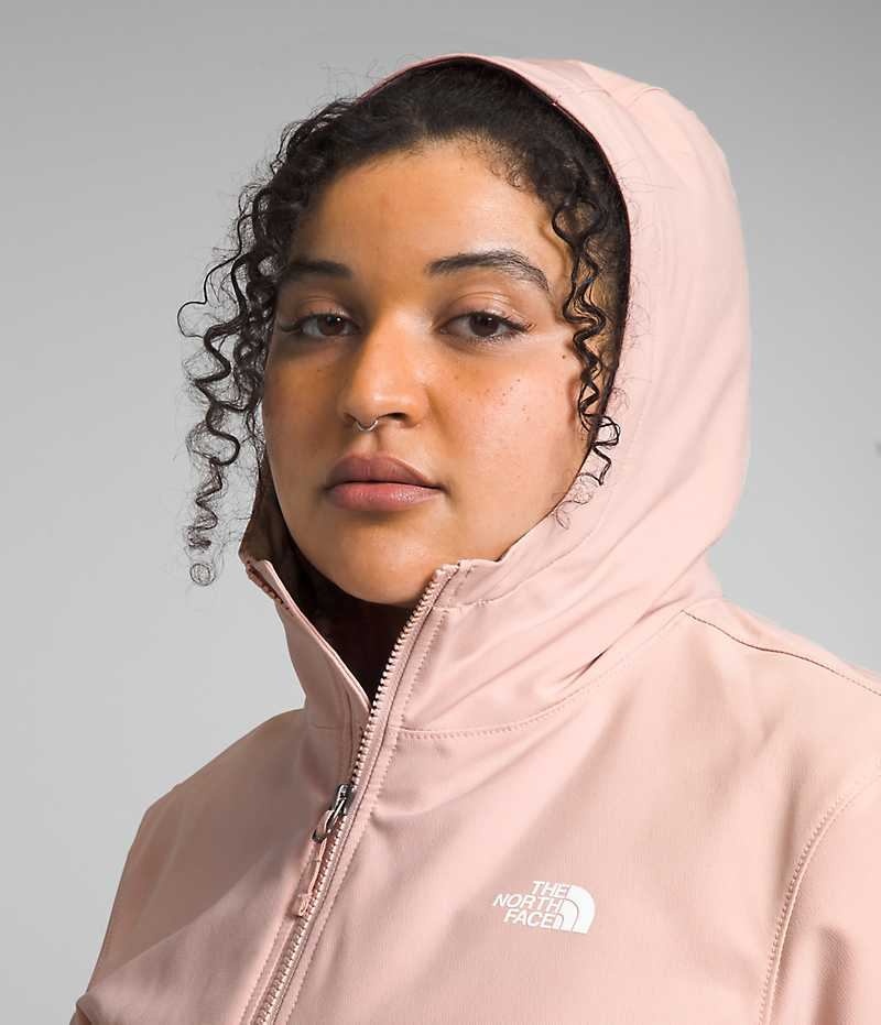 Pink The North Face Plus Shelbe Raschel Hoodie Women's Softshell Jacket | MALAYSIA JUFDNM