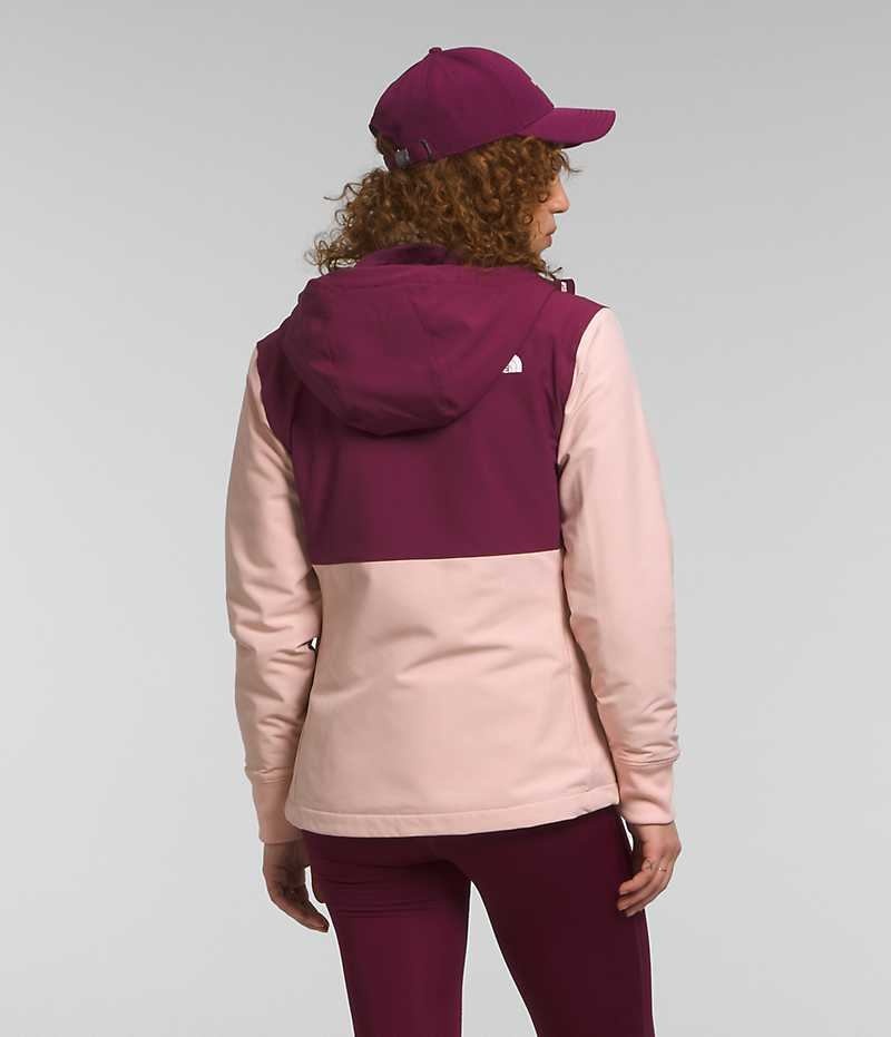 Pink The North Face Shelbe Raschel Hoodie Women's Softshell Jacket | MALAYSIA XEHUGQ