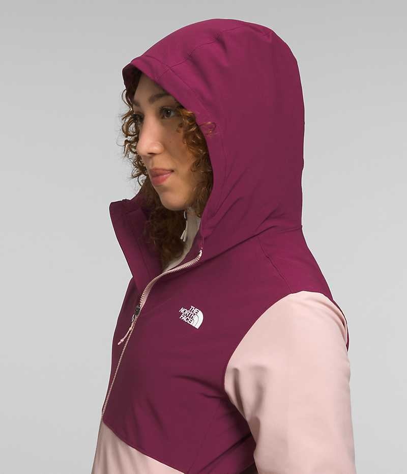 Pink The North Face Shelbe Raschel Hoodie Women's Softshell Jacket | MALAYSIA XEHUGQ